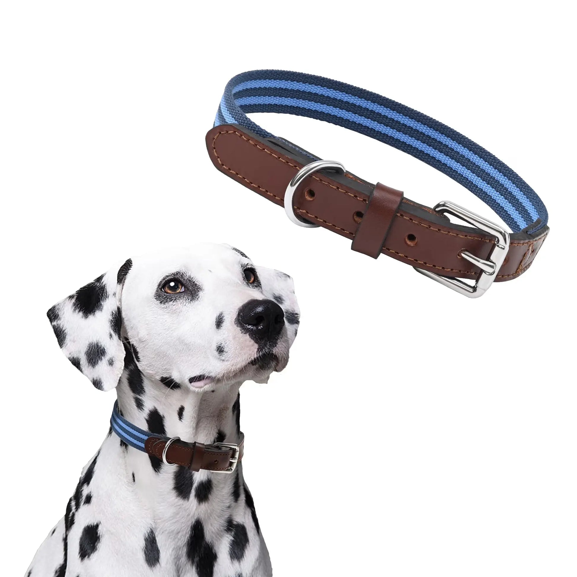 | Genuine Leather Dog Collar | Heavy Duty Canvas Dog Collars with Adjustable Rust-Proof Metal Pin Buckle | Boy Dog Collars for Small Dogs(Blue)